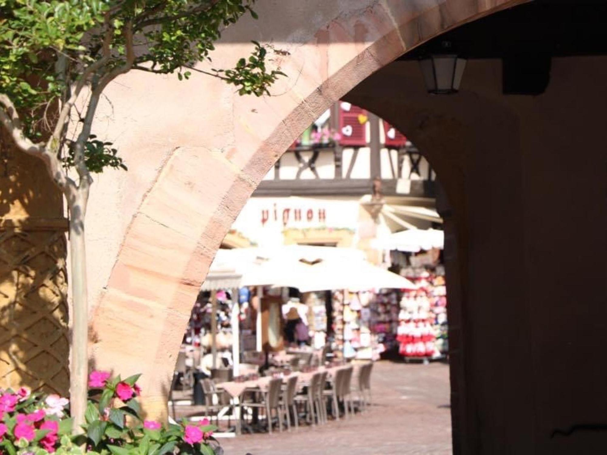 Charmant Appart Avec Garage Et Terrasse Au Coeur De Colmar, Pres De La Route Des Vins D'Alsace - Fr-1-722-6 Exterior photo